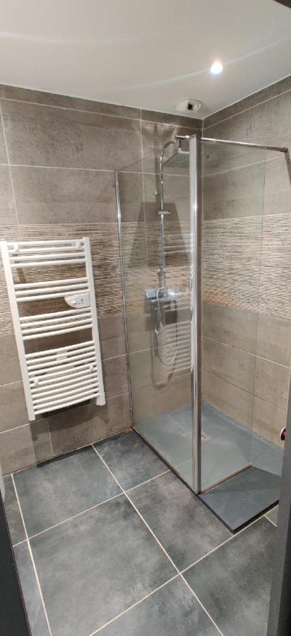 Appartement F2 Dans Le Centre Historique Le Puy-en-Velay Dış mekan fotoğraf