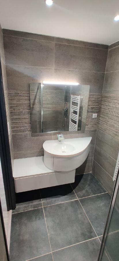 Appartement F2 Dans Le Centre Historique Le Puy-en-Velay Dış mekan fotoğraf